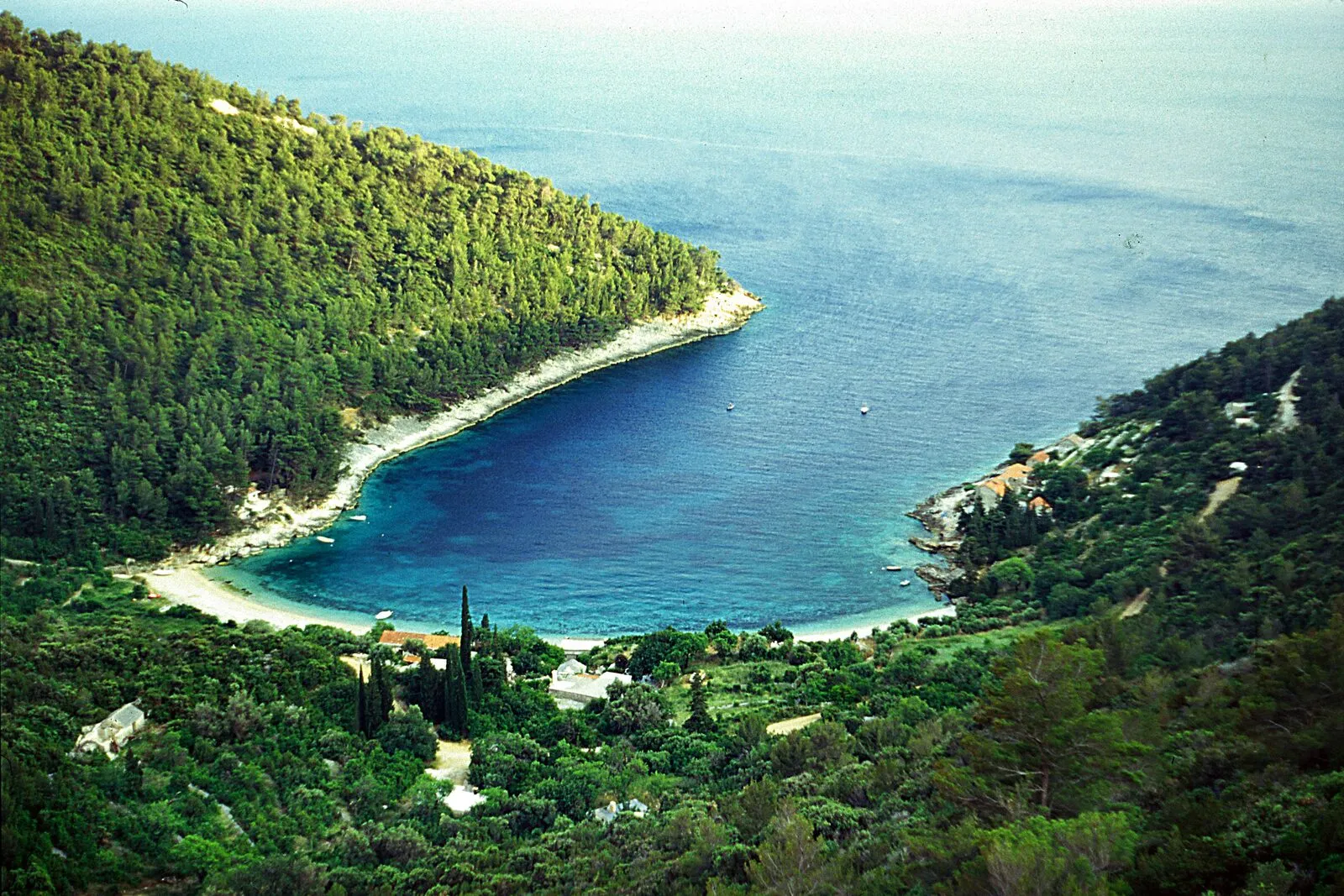 The pine-fringed bay and pebble beach of Pupnatska Luka on Korcula